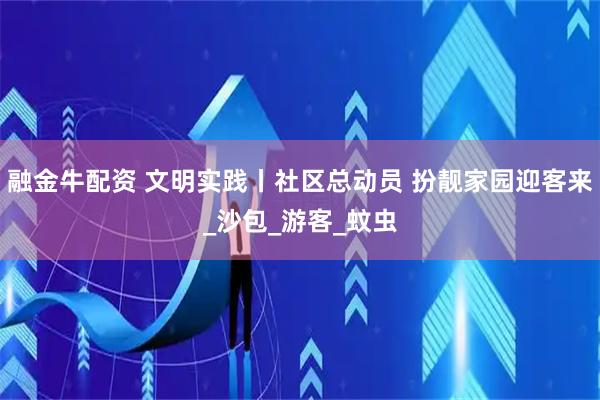 融金牛配资 文明实践丨社区总动员 扮靓家园迎客来_沙包_游客_蚊虫
